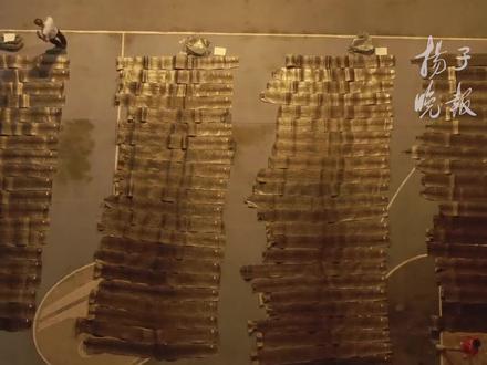 触目惊心!云南查获蟒蛇皮90张铺满篮球场