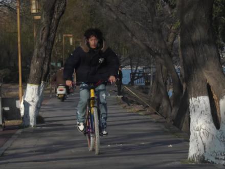 后轮滑教程来啦,快来评论区交作业吧! #三叶草自行车 #双轮驱动bike #后轮滑 #骑行 #山地车