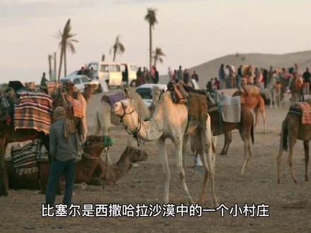 每天一则小故事——新生活是从选定方向开始的#中视屏伙伴合作计划 #萌知计划 #教育 #知识