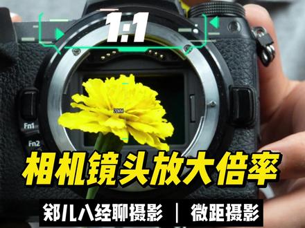 相机镜头的放大倍率你了解多少?#郑儿八经聊摄影 #微距摄影 #微单 #摄影