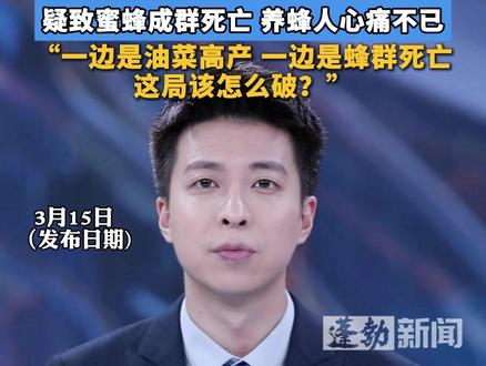 多地用无人机撒农药防治油菜虫害,疑致蜜蜂成群死亡,养蜂人心痛不已“一边是油菜高产 一边是蜂群死亡,这局该怎么破?”