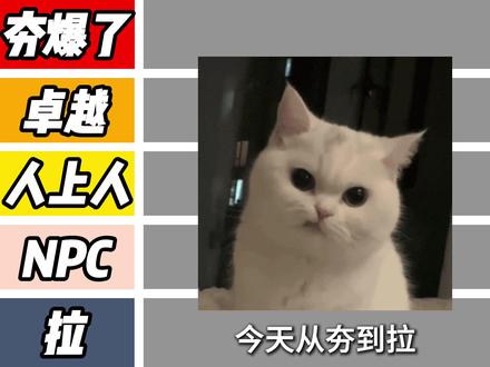 从夯到拉,客观锐评7款华为Mate80钢化膜。全方位的评测,只为告诉你正确答案。#华为mate80钢化膜 #华为mate80钢化膜测评