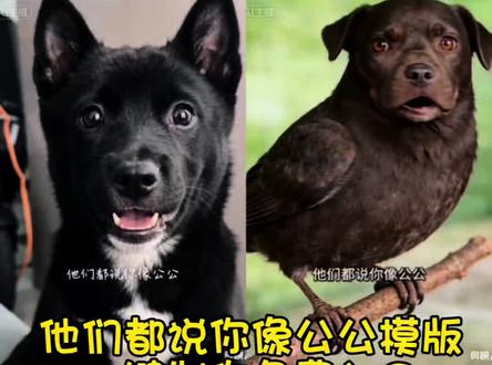 全网刷屏🔥他们都说你像公公AI特效教程来啦
剪映一键制作,上传照片就能生成
搞笑东厂公公对口型,魔性配音超上头
零基础5秒搞定,一键剪同款直接导出
AI人脸生成+对口型,氛围感直接拉满
#他们都说你像公公 #老公像公公特效#剪映 #公公特效 #搞笑AI对口型