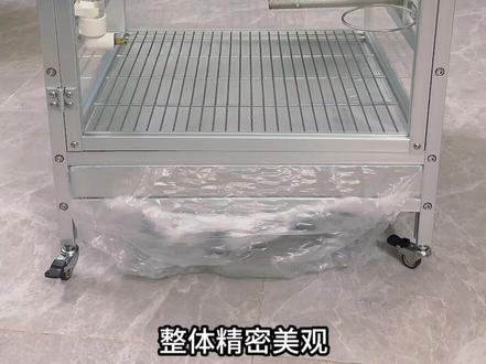 后悔太晚做这个笼子了#鹦鹉🦜 #Diy #鸟笼