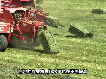 【走进县城看发展】方块草垛是如何形成的?
【中央广播电视总台哈萨克语】