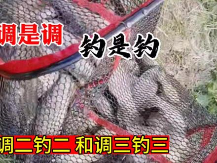 调是调,钓是钓,调二钓二,调三钓三的作钓思路 #钓鱼技巧 #调漂技巧