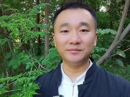 植物界的杀虫剂——苦楝树 #苦楝树