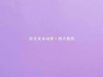 回复 @美人虞的评论(字幕音频没弄好 不懂可以直接问) 一个关于动图的超详细教程 其余剪辑软件均适用 原理是一样的#剪辑教程