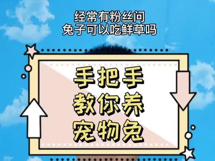 #宠物兔子 #宠物兔 #兔兔 手把手教你养宠物兔之可以喂鲜草吗?