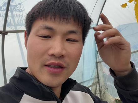 种结果类的最好是补充下中微量元素#小祝哥种西瓜 #中微量元素水溶肥