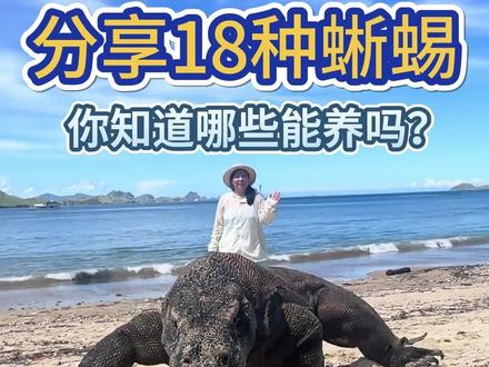 分享18种蜥蜴 ,你知道哪些能养吗? #蜥蜴 #爬宠 #动物科普 #变色龙 #神奇动物