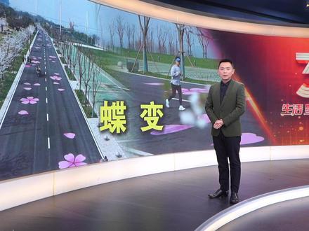 汉马跑进青山,造就“赛事与民生共生”的城区蝶变。