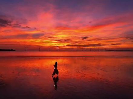 台湾《回家吧》🫡🫡🫡