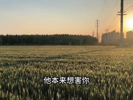 他本来想害你,结果却帮了你,
他的坏反倒替你挡了灾。
易经中有一卦,叫天雷无妄卦。
大概意思是,有些人做人做事半点都不凭良心。
从他动了坏心思的那一刻起,
他就用他的福报消了你的孽。
从他给你设下陷阱的那一刻起,
你未来的劫难已经被他转接去。
不必怨恨不必反击,时间会给你满意的答案。
所以,你只管做好自己,其他请交给因果。
有福之人无心插柳柳成荫,无德之人机关算尽尽成空。#人生感悟 #情感共鸣 #治愈系风景