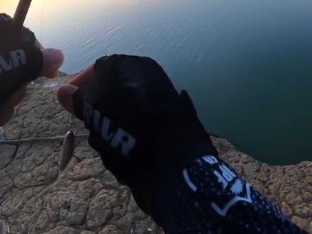 搞个翘嘴回去吃#禧玛诺dc#gopro拍摄