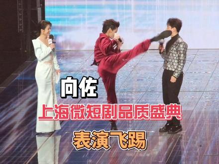 向佐飞踢主持人百克力!脚尖擦头而过,道歉100遍就能抵消危险冒犯?#向佐 #百克力 #明星 #向佐踢主持人