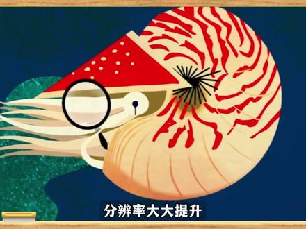 从眼虫到人类,5 亿年进化却造不出完美眼睛! #科普一下#知识前沿派对 #青年创作者成长计划