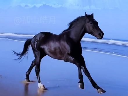 骏马奔腾,气势如虹,如你在逐梦路上一往无前。#骏马 #策马奔腾