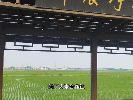 拍中视频到底赚qian吗?答案是肯定的,但是要坚持!#记录真实生活