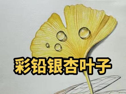 一学就会彩铅银杏叶子 #手绘 #画画 #零基础学画画