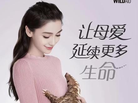 没有买卖就没有伤害#angelababy #穿山甲 #和angelababy一起保护穿山甲
