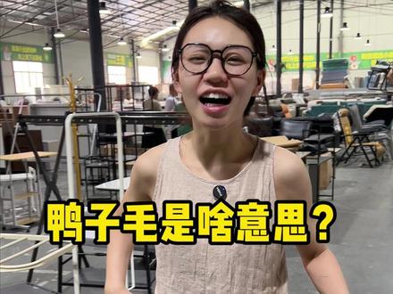 这鸭子毛到底是啥意思? #装修 #家具 #河南话