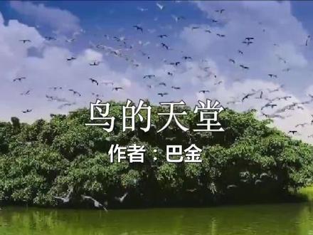 课文朗读:部编版语文五年级上册第23课《鸟的天堂》