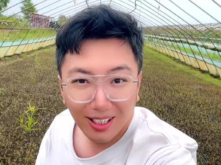 东北为什么适合种植蔓越莓,你知道了吗?#三农 #三农种植 #新农人计划2023 #返乡创业青年