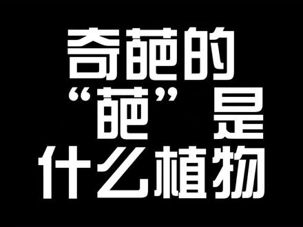 奇葩的“葩”是什么植物?
#国学文化 #冷知识 #涨见识 #汉字 #植物科普