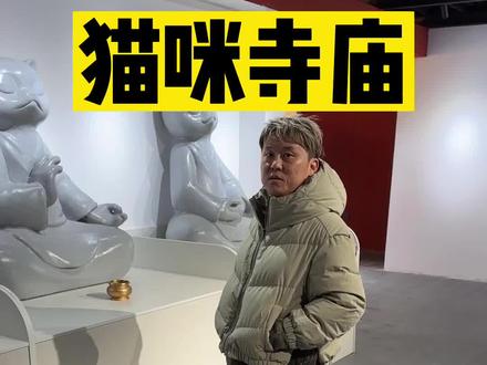 在吉林,一家只属于猫咪的寺庙
#人与动物和谐共处
#谁能拒绝傻憨憨的小猫咪