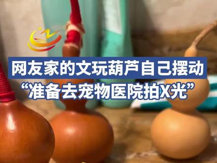 网友家的文玩葫芦自己摆动,“准备去宠物医院拍X光”。#葫芦 #葫芦娃 #文玩 #神奇一幕
来源:网友“倔犟了半生”
编辑:吴子昊