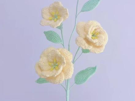 洋桔梗钩织教程1~花朵。不必惊艳时光,却可温柔岁月---这是洋桔梗,也是我们向往的生活。#洋桔梗钩织教程 #种草激励计划 #手工编织零基础教学 #手工diy #随时随地标记一下
