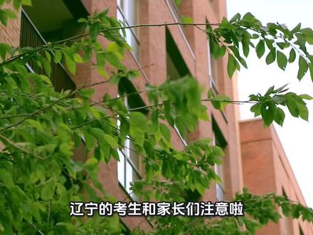 辽宁考生注意!东大这条“隐藏赛道”你知道吗? #东北大学综合评价 #辽宁高考 #综合评价降分录取 #辽宁高考志愿填报