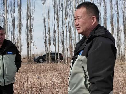 滴灌带铺反农户坦言棉花像过山车#中农泊仕农肥 #农民丰收好帮手