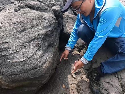 这种蟹王洞老赶海人看了都绕道走,渔夫用汽锤花3小时挖开,抓出大货乐坏了 #赶海 #真实户外