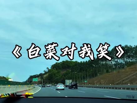 白菜对我笑.#funk #白菜对我笑 #音乐分享