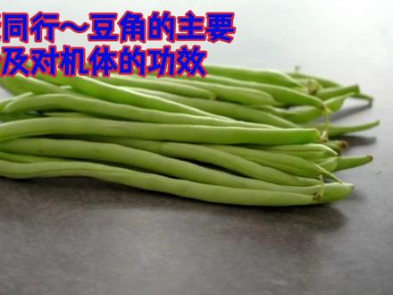 与健康同行~豆角的主要成分及对机体功效
