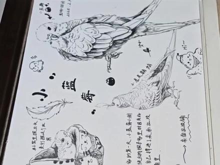 绘画分享
不知道干什么就来画个我家的小鸟吧
#绘画 #小鸟 #虎皮鹦鹉绘画 #动物绘画 #绘画过程