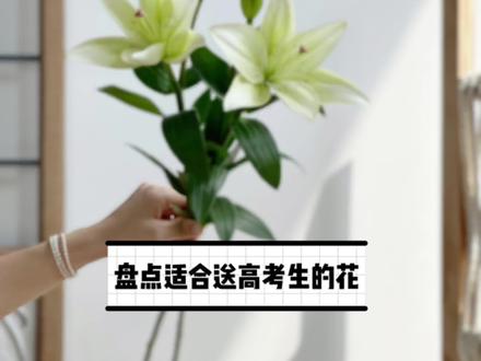 一花一语,为千万高考生加油!盘点适合送高考生的花#高考加油 #金榜题名 #高考花束 #零基础花艺培训 #高考花礼 #愿你们梦想成真