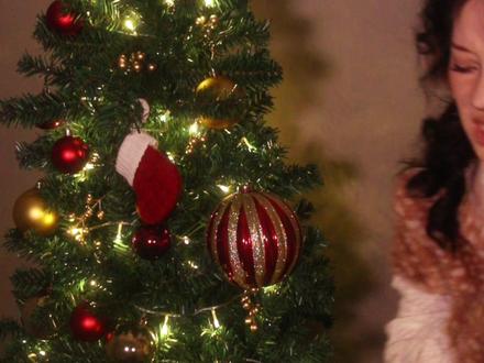 叮咚,小麋鹿来送平安夜助眠礼物啦 #视觉助眠 #asmr场景模拟 #轻语助眠