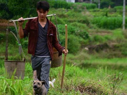 今天我种了油菜,做了芋头肉丸粉吃,姐我还有衣服穿,嘿嘿#抖音美食创作人