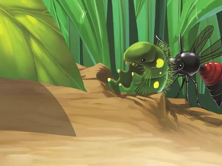 昆虫记:赤条蜂,技术高超的外科医生 #法布尔 #启蒙科普 #涨知识了 #智影 #春日进阶计划 #生物知识 #科普绘本