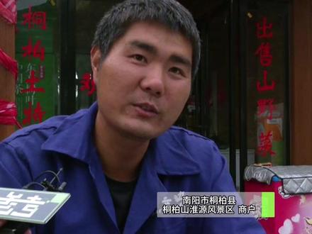 《西游记》水帘洞原型在桐柏,吴承恩曾在这里刻面出孙悟空,如今这里成为“人在路中,路在无中”交旅融合新场景#不一样的中国节气 #中国节气芒种篇