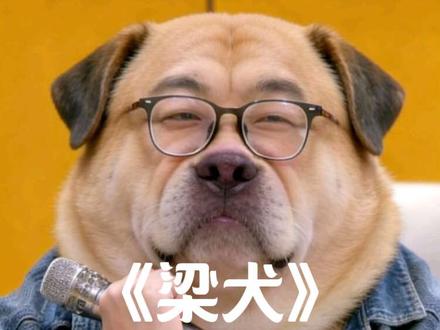 《梁犬》☁️已发布
#梁源是犬 #原创歌曲 #说唱