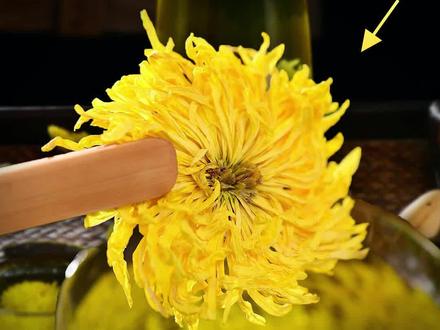 喝凉水都拉肚子的人,就别饮胎菊茶了!#三农小知识