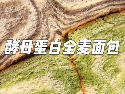 真的是天才商家啊,居然把蛋白粉和吐司结合到一起了,作为自律期主食真的太夯了!#代餐 #全麦面包 #酵母蛋白吐司 #低卡早餐 #谁懂这一口的含金量