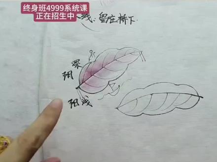 指哪打哪专业染色笔水笔链接下单早用人生不后悔#零基础学工笔#工笔花鸟#工笔画染色笔水笔哪个笔好用