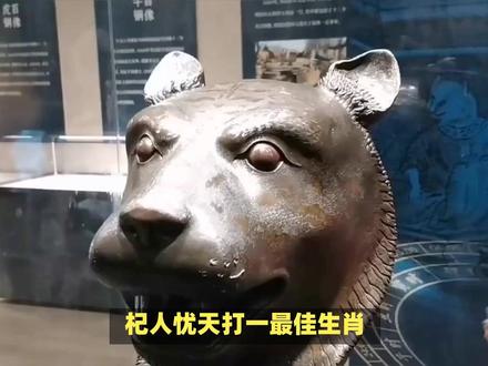 杞人忧天打一最佳生肖? #内容启发搜索