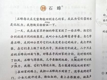 三年级下册语文第十课《石蜂》课文内容讲解视频生字精讲 #语文预习 #课堂笔记 #抖音教育 #抖音小助手