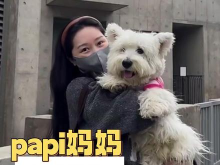 三年的东奔西走,她终于替逝去的爱宠等来天明。#西高地papi #宠物 #保护动物 #情感共鸣 #感动